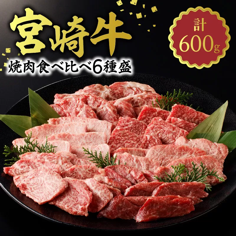 宮崎牛焼肉食べ比べ6種盛600g N0140-ZB237