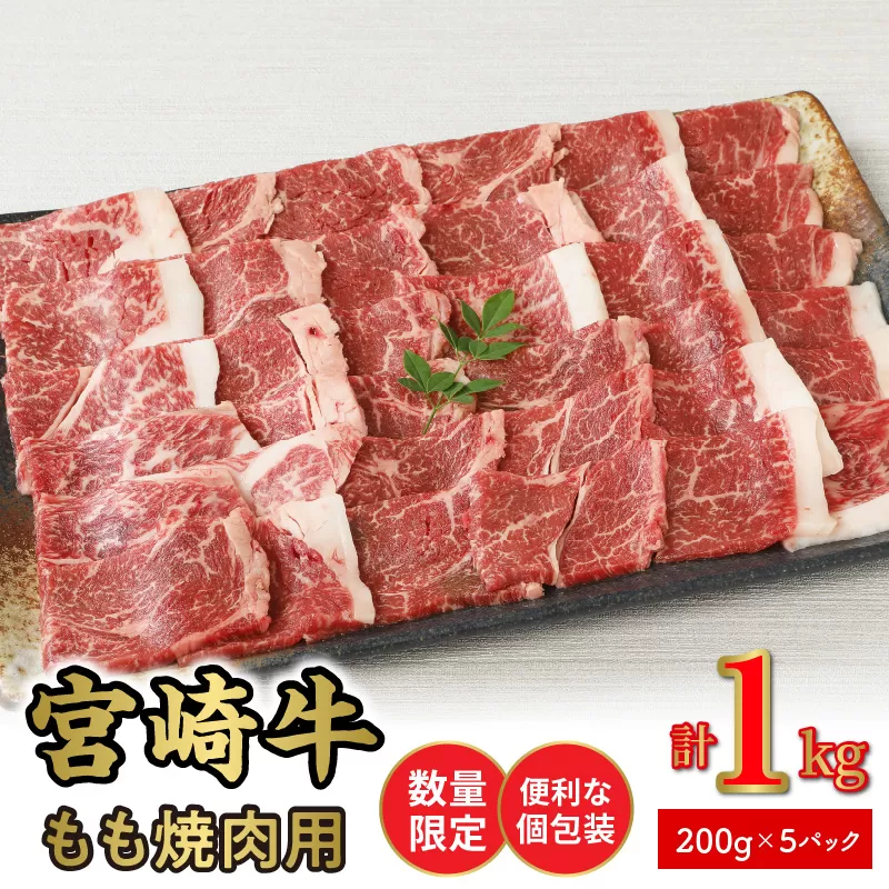 数量限定 便利 個包装 宮崎牛 もも 焼肉用 200g×5パック計1kg　N124-ZC043