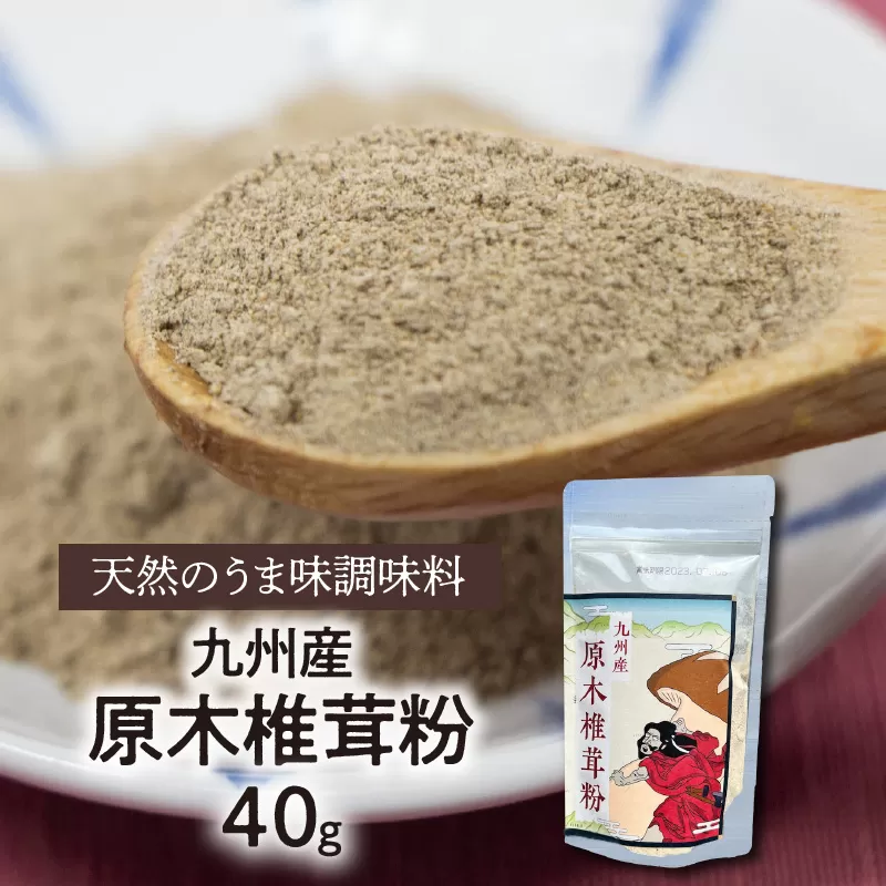 天然 うま味調味料 九州産 原木椎茸 粉 40g　N0155-A0190