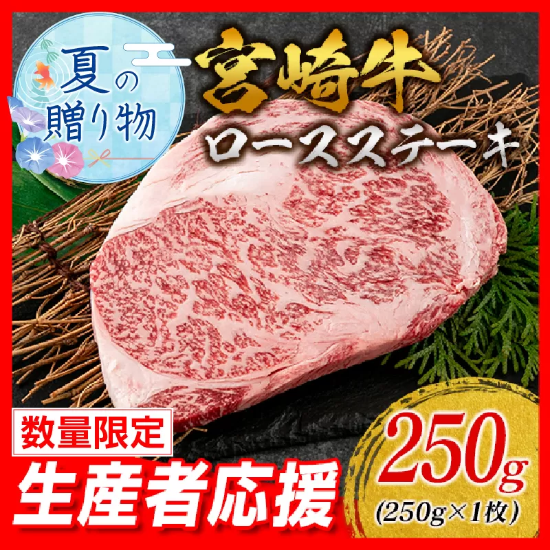 【お中元・夏の贈り物】生産者応援 数量限定 宮崎牛 ロース ステーキ 1枚 牛肉 ビーフ 黒毛和牛 ミヤチク 国産 ブランド牛 食品 おかず ディナー 人気 おすすめ 鉄板焼き 高級 贅沢 上質 ご褒美 お祝 記念日 イベント グルメ 宮崎県 日南市 送料無料_AA61-242