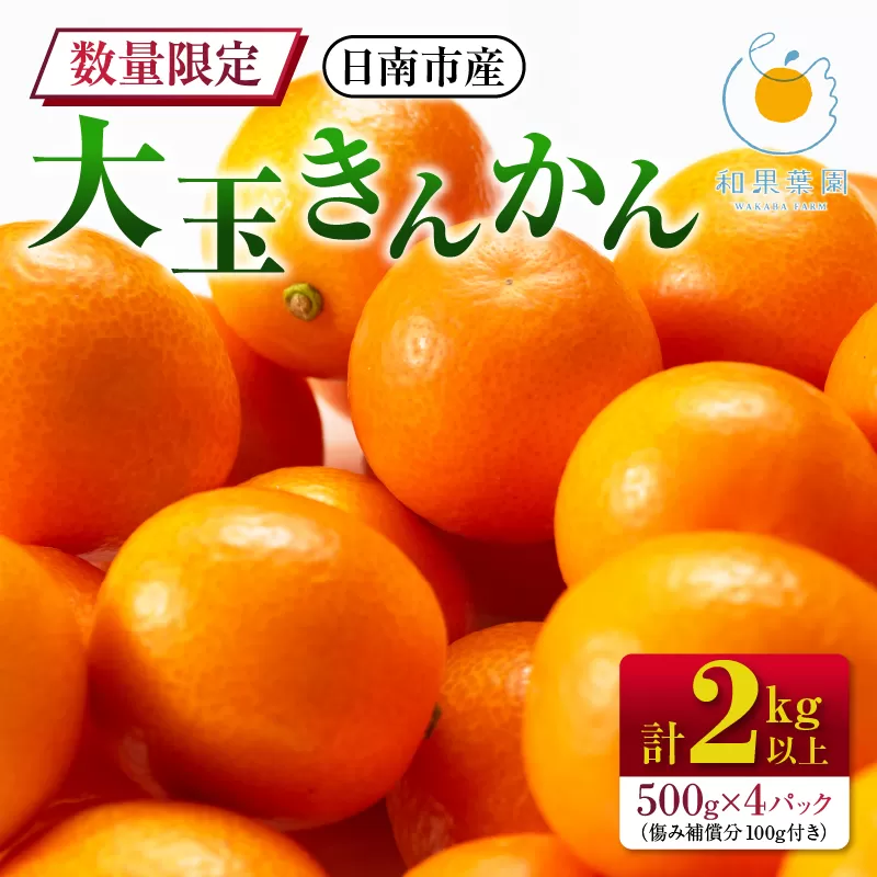 食べ応え抜群 大玉 きんかん 計2kg以上 傷み補償分付き 数量限定 期間限定 フルーツ 果物 くだもの 柑橘 金柑 先行予約 国産 希少 人気 おすすめ ジャム おやつ デザート 小分け おすそ分け 贈り物 ギフト 贈答 ご褒美 産地直送 宮崎県 日南市 送料無料_B233-24