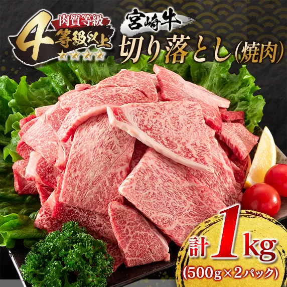 宮崎牛 切り落とし 焼肉 計1kg 牛肉 国産 食品 おかず 黒毛和牛 万能食材 炒め物 ビーフ 人気 おすすめ お取り寄せ グルメ パーティー お祝 記念日 ご褒美 贅沢 高級 ブランド牛 ミヤチク BBQ キャンプ アウトドア グランピング 宮崎県 日南市 送料無料_DC15-23