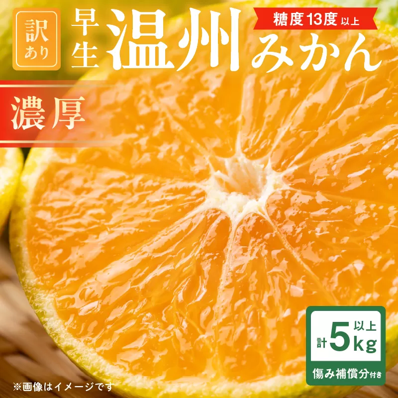 糖度13度以上 先行予約 訳あり 数量限定 早生 温州みかん 計5kg以上 傷み補償分付き 期間限定 フルーツ 果物 くだもの 柑橘 蜜柑 ミカン 国産 わけあり おすすめ おすそ分け おやつ デザート 食品 フルーツサンド みかんジュース 宮崎県 日南市 送料無料_BV3-24