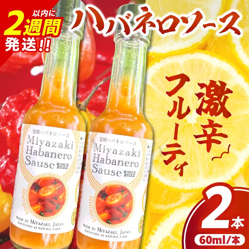 爽やか激辛食感 フルーティなハバネロソース 数量限定 宮崎 ハバネロ ソース 計2本 激辛ソース 調味料 おすすめ 加工品 オリジナル ブレンド 肉料理 パスタ ピザ ギフト プレゼント 贈り物 お取り寄せ 宮崎県 日南市 送料無料_ZXV1-24