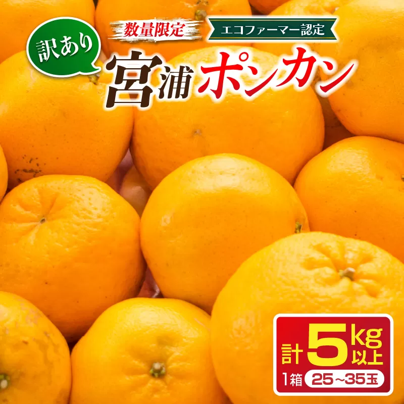 先行予約 訳あり 数量限定 宮浦 ポンカン 計5kg以上 フルーツ 果物 くだもの 柑橘 みかん 国産 食品 期間限定 訳アリ おすすめ デザート おやつ フルーツサンド ジュース ご家庭用 ご自宅用 B品 おすそ分け 不揃い 傷 産地直送 宮崎県 日南市 送料無料_A75-22