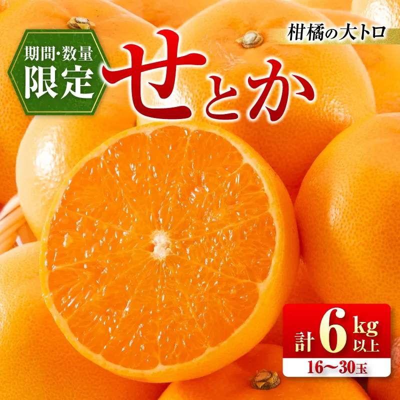 数量限定 柑橘の大トロ せとか 計6kg以上 先行予約 フルーツ 果物 くだもの 柑橘 みかん オレンジ 期間限定 2025 希少 フルーツサンド フルーツ大福 国産 食品 おすすめ デザート おやつ ギフト 贈り物 贈答 宮崎県 日南市 送料無料_FD7-24