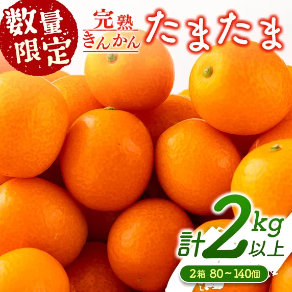 先行予約 数量限定 完熟きんかん たまたま 計2kg以上 (1kg×2箱) フルーツ 果物 くだもの 柑橘 金柑 国産 食品 期間限定 大粒 宮崎ブランド 希少 おすすめ デザート おやつ ギフト 贈り物 贈答 お返し お祝い おすそ分け 産地直送 日南市 送料無料_BC103-24