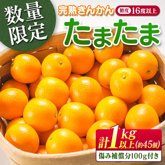 糖度16度以上 数量限定 完熟 きんかん たまたま 計1kg以上 傷み補償分付き フルーツ 果物 期間限定 ブランド 金柑 柑橘 国産 食品 人気 おすすめ A品 産地直送 ギフト 贈り物 贈答 プレゼント ご褒美 おすそ分け デザート 宮崎県 日南市 送料無料_B215-23