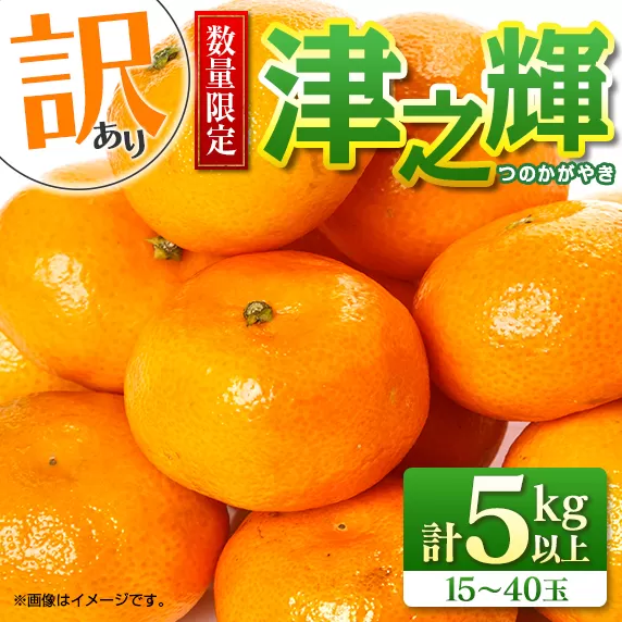 先行予約 訳あり 数量限定 津之輝 つのかがやき 5kg以上 (5kg×1箱) フルーツ 果物 くだもの 柑橘 みかん 国産 食品 おすすめ 訳アリ ご家庭用 ご自宅用 B品 傷 おすそ分け デザート おやつ フルーツサンド ジュース 宮崎県 日南市 送料無料_BB86-23