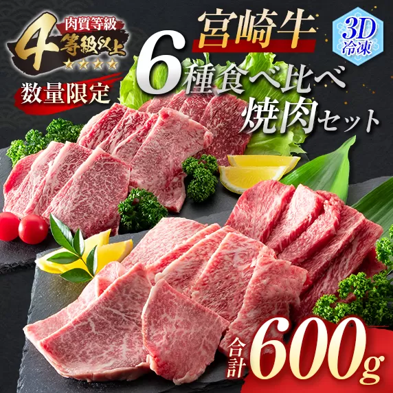 数量限定 宮崎牛 6種 食べ比べ 焼肉 セット 合計600g 牛肉 ビーフ 黒毛和牛 ミヤチク 3D冷凍 国産 ヒレ 肩ロース ウデ バラ モモ ブランド牛 おかず 食品 お取り寄せ グルメ 鉄板焼き 焼き肉 希少部位 上品 高級 贅沢 ご褒美 お祝 宮崎県 日南市 送料無料_DC16-23