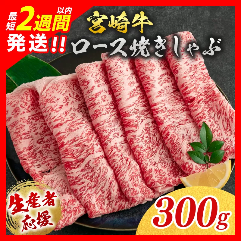 【最短2週間以内で発送】生産者応援 数量限定 宮崎牛 ロース 焼きしゃぶ 計300g 牛肉 ビーフ 黒毛和牛 ミヤチク 国産 ブランド牛 食品 おかず おすすめ 贅沢 イベント お取り寄せ グルメ 送料無料 日南市_B234-24-2W