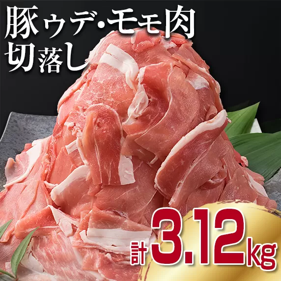 豚肉 豚ウデ 豚モモ 切り落とし セット 計3.12kg 国産 ポーク 食品 おかず 切落し スライス肉 万能食材 大容量 焼肉 生姜焼き カレー 肉じゃが 炒め物 お弁当 おつまみ 晩ご飯 うで もも 人気 冷凍 お土産 おすそ分け お取り寄せ 宮崎県 日南市 送料無料_BB89-23