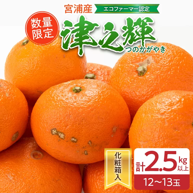 数量限定 津之輝 計2.5kg以上 果物 フルーツ くだもの みかん 柑橘 先行予約 2025年 期間限定 デザート おやつ ジュース フルーツサンド おすすめ 国産 食品 ギフト 贈り物 贈答 ご褒美 お祝い 記念日 おすそ分け 産地直送 宮崎県 日南市 送料無料_BA69-23