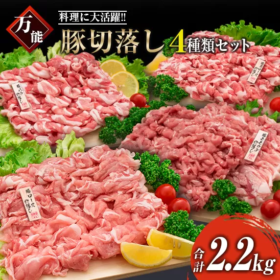 豚肉 切り落とし 4種 セット 合計2.2kg 日南市産 ポーク 国産 食品 おかず お弁当 おつまみ 万能食材 豚ロース 豚バラ 豚モモ 豚ウデ 切落し 食べ比べ 人気 おすすめ カレー 焼肉 生姜焼き 炒め物 大容量 お取り寄せ おすそ分け 宮崎県 日南市 送料無料_BB88-23