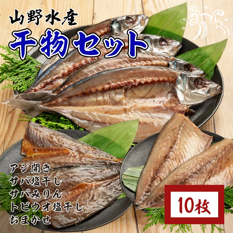 数量限定 山野水産 干物 セット 合計10枚 詰め合わせ 簡単調理 魚 魚介 加工品 食品 惣菜 おかず おつまみ 塩干し みりん干し アジ開き サバ トビウオ ひもの おすすめ 海産物 海鮮 水産加工品 ギフト 国産 宮崎県 日南市 送料無料_B232-24