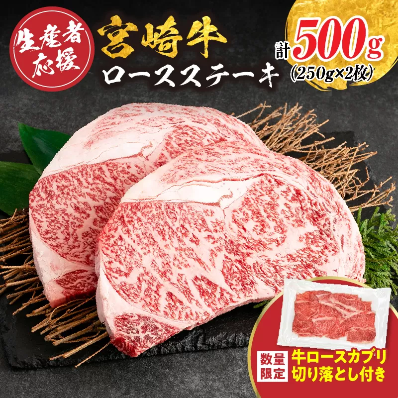 【最短2週間以内で発送】生産者応援 宮崎牛 ロースステーキ 2枚(計500g)牛カブリ 切り落とし サーロイン リブロース 牛肉 黒毛和牛 国産 焼肉 BBQ おかず 人気 ギフト 贈り物 宮崎県 日南市 送料無料_C119-24-ZO-2W