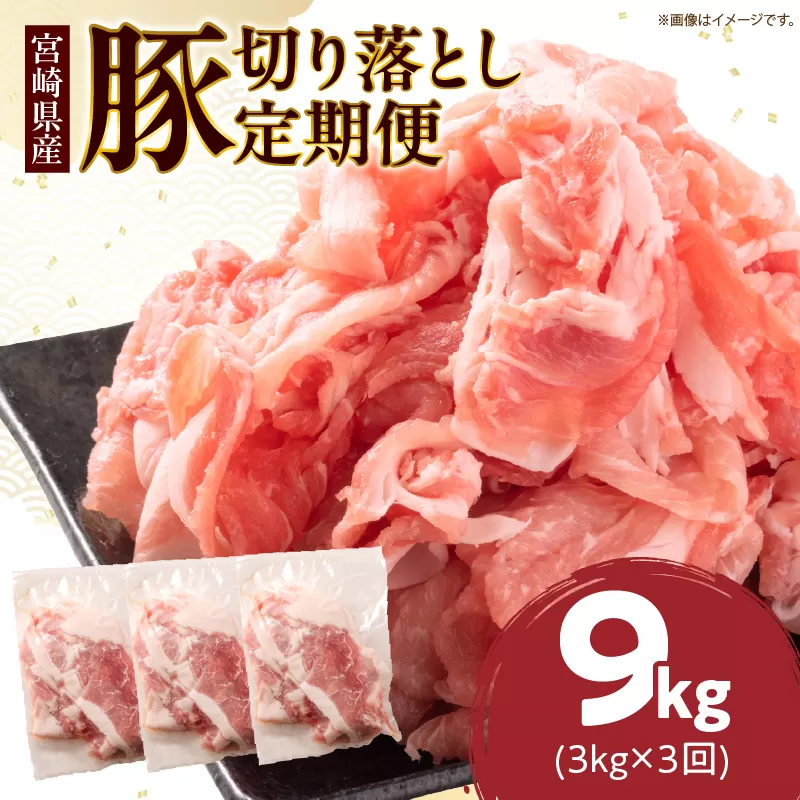 数量限定 3か月 お楽しみ 定期便 小分けで便利 豚 切り落とし 総重量9kg お肉 豚肉 国産 小分け 真空パック 個包装 万能食材 おすすめ おかず 食品 お弁当 豚丼 しゃぶしゃぶ お祝い 記念日 宮崎県 日南市 送料無料_GB3-24