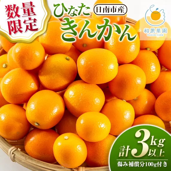 数量限定 ひなたきんかん 計3kg以上 傷み補償分100g付き フルーツ 果物 柑橘 金柑 みかん オレンジ 人気 おすすめ おすそ分け お土産 プレゼント お取り寄せ グルメ 国産 食品 デザート スイーツ おやつ ブランド 特産品 産地直送 宮崎県 日南市 送料無料_B169-21