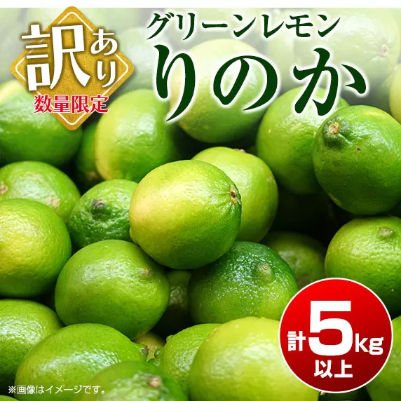 訳あり 数量限定 グリーンレモン りのか 計5kg以上 期間限定 フルーツ 果物 くだもの 柑橘 レモン 檸檬 レモンティ レモネード 国産 食品 デザート スイーツ 人気 おすすめ ご家庭用 訳アリ おすそ分け 新鮮 産地直送 宮崎県 日南市 送料無料_A88-23