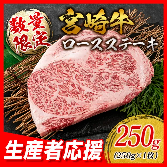 生産者応援 数量限定 宮崎牛 ロース ステーキ 1枚 牛肉 ビーフ 黒毛和牛 ミヤチク 国産 ブランド牛 食品 おかず ディナー 人気 おすすめ 鉄板焼き 高級 贅沢 上質 ご褒美 お祝 記念日 イベント グルメ 宮崎県 日南市 送料無料_AA61-24