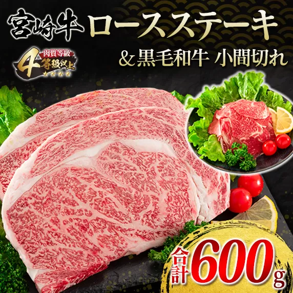 宮崎牛 ロースステーキ 黒毛和牛 小間切れ セット 合計600g 肉 牛 牛肉 ステーキ ロース 国産 おかず 食品 日南市 送料無料_F62-21