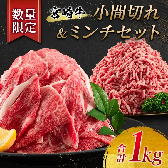 数量限定 宮崎牛 小間切れ ミンチ セット 合計1kg 牛肉 ビーフ 黒毛和牛 国産 ブランド牛 食品 こま切れ 牛ミンチ 挽肉 万能食材 ハンバーグ おすすめ おかず おつまみ お弁当 ご褒美 お祝い 記念日 詰め合わせ お取り寄せ グルメ 宮崎県 日南市 送料無料_BB126-23