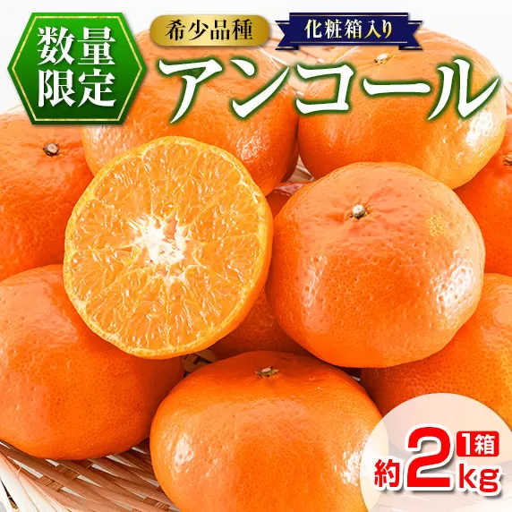 糖度12度以上のみかん!! 数量限定 アンコール 約2kg 化粧箱入り 期間限定 フルーツ 果物 くだもの 柑橘 みかん 国産 食品 デザート ジュース 産地直送 おやつ 高級 希少 濃厚 ご褒美 おすすめ お土産 ギフト 贈り物 贈答 おすそ分け 宮崎県 日南市 送料無料_DD9-23