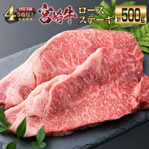 宮崎牛 ロース ステーキ 計500g 牛肉 ビーフ 黒毛和牛 国産 ブランド牛 食品 人気 おすすめ 真空パック 小分け 個包装 おかず 焼肉 BBQ 鉄板焼き 高級 贅沢 ご褒美 ディナー お祝い 記念日 おもてなし お取り寄せ グルメ おすそ分け 宮崎県 日南市 送料無料_EB2-191