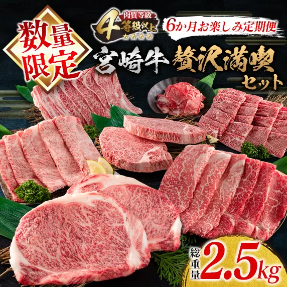 数量限定 6か月 お楽しみ 定期便 宮崎牛 贅沢 満喫 セット 総重量2.5kg 肉 牛 牛肉 黒毛和牛 国産 人気 食品 焼肉 ステーキ 日南市 送料無料_N6-23