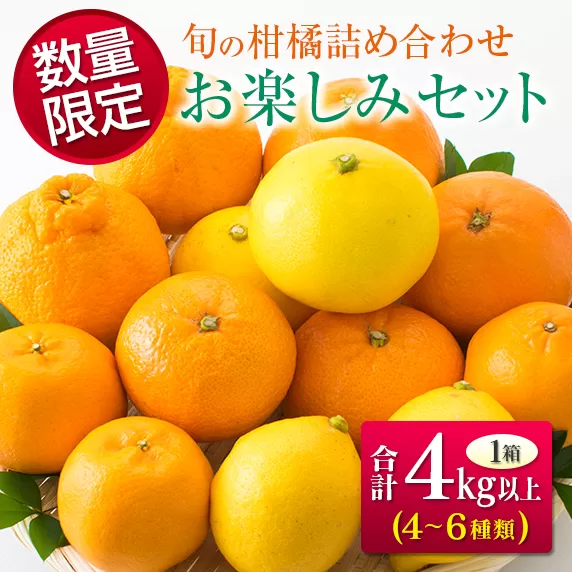 数量限定 旬の柑橘 詰め合わせ お楽しみ セット 合計4kg以上 4～6種類 フルーツ 果物 くだもの 柑橘 みかん オレンジ ポンカン スイートスプリング 不知火 日向夏 はるか 国産 食品 おすすめ デザート おやつ ギフト 贈り物 贈答 宮崎県 日南市 送料無料_BC80-23