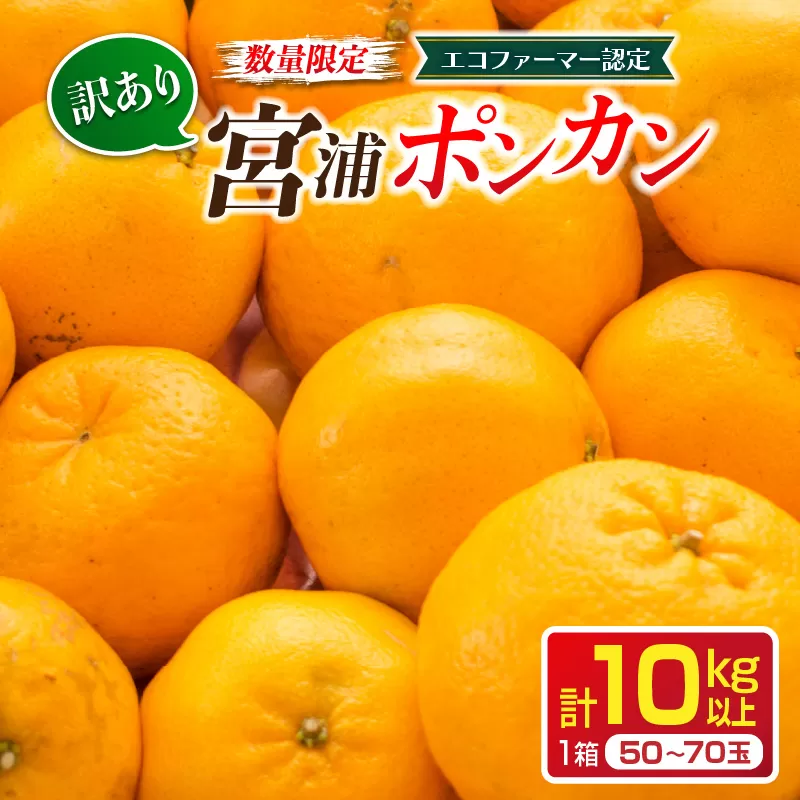 先行予約 訳あり 数量限定 宮浦 ポンカン 計10kg以上 フルーツ 果物 くだもの 柑橘 みかん 国産 食品 期間限定 訳アリ おすすめ デザート おやつ フルーツサンド ジュース ご家庭用 ご自宅用 B品 おすそ分け 不揃い 傷 産地直送 宮崎県 日南市 送料無料_CA54-24