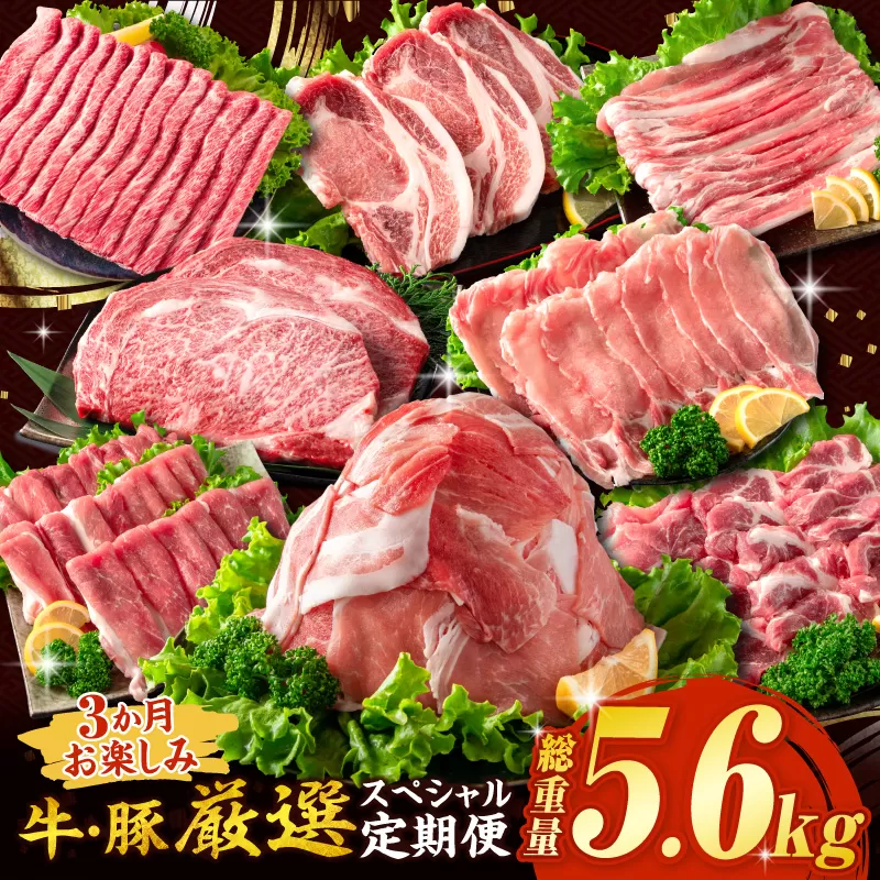 3か月 お楽しみ 牛 豚 厳選 スペシャル 定期便 総重量5.6kg 肉 牛肉 宮崎牛 肩ウデ ロースステーキ 豚肉 6種 盛り合わせ セット 豚ロース 豚バラ 小間切れ すき焼き しゃぶしゃぶ 黒毛和牛 A4 A5 和牛 国産 食品 牛丼 薄切り おすすめ 宮崎県産 日南市 送料無料_H48-24