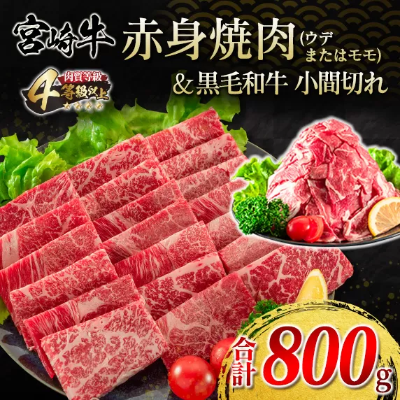 宮崎牛 赤身 焼肉 黒毛和牛 小間切れ セット 合計800g 牛肉 ビーフ 国産 うで もも ブランド牛 人気 おすすめ 万能食材 食品 お取り寄せ グルメ 詰め合わせ 贅沢 ご褒美 お祝い 記念日 おかず 弁当 おつまみ BBQ 鉄板焼き おすそ分け 宮崎県 日南市 送料無料_DA20-23