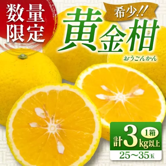 新感覚シトラス! 先行予約 数量限定 黄金柑 おうごんかん 計3kg以上 期間限定 希少 フルーツ 果物 くだもの ミカン 柑橘 オレンジ 国産 食品 デザート おやつ おすすめ 産地直送 お取り寄せ 新鮮 ギフト 贈り物 特産品 宮崎県 日南市 送料無料_B227-23