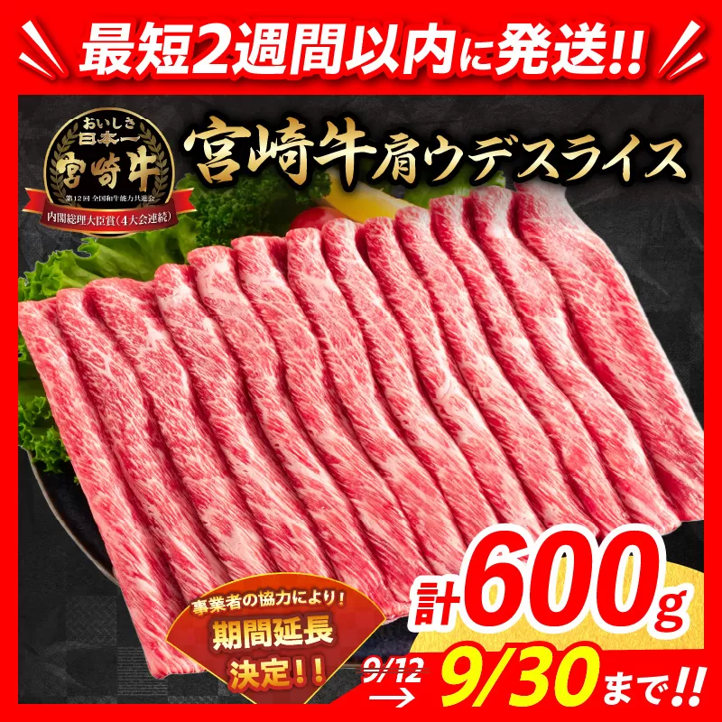 【最短2週間以内で発送】数量限定 期間限定 宮崎牛 肩ウデ スライス 計600g 肉 牛肉 国産 すき焼き 人気 黒毛和牛 赤身 しゃぶしゃぶ A4 A5 等級 ギフト 贈答 小分け 食品 ミヤチク 宮崎県 送料無料_BB131-23-ZO2-2W