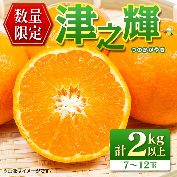 先行予約 数量限定 津之輝 つのかがやき 2kg以上 (2kg×1箱) フルーツ 果物 くだもの 柑橘 みかん 国産 食品 おすすめ ギフト 贈り物 贈答 プレゼント お返し お祝い 記念日 デザート おやつ フルーツサンド ジュース 宮崎県 日南市 送料無料_A79-23