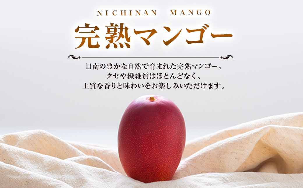 期間限定 マンゴー みやざき 完熟マンゴー 2～3玉 フルーツ 果物 国産 ...