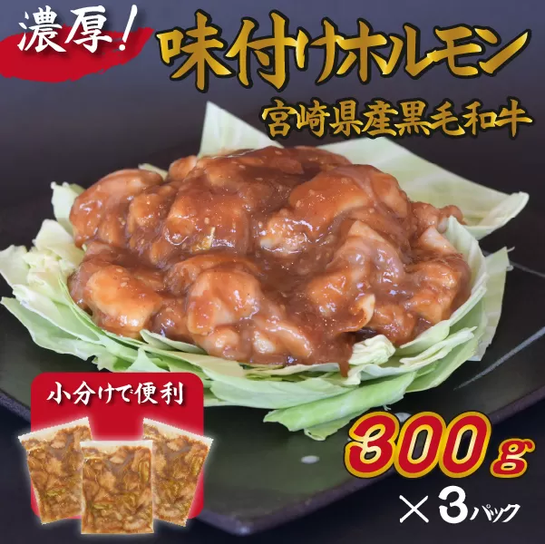 宮崎県産黒毛和牛濃厚味付けホルモン900g（ 牛 国産 ホルモン 300g 3パック 焼肉 炒め物）