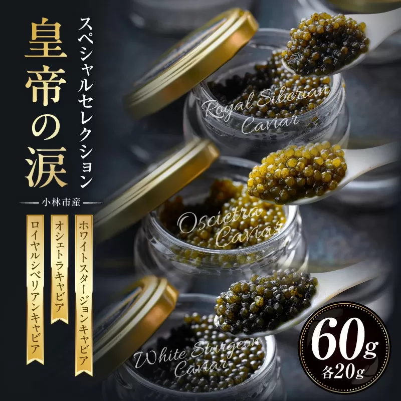 【純国産キャビア】皇帝の涙スペシャルセレクション 60g 国産 チョウザメ キャビア オシェトラ 食べ比べ