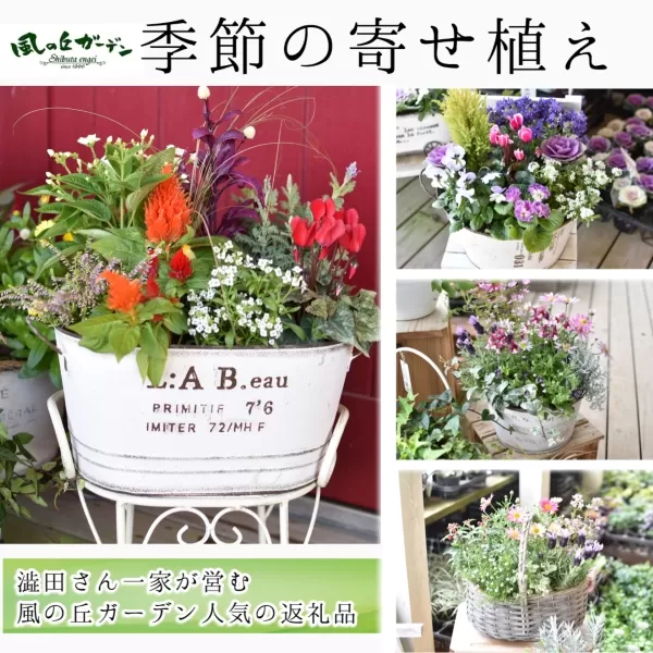 【お手軽ガーデニング】季節の寄せ植え<風の丘ガーデン>