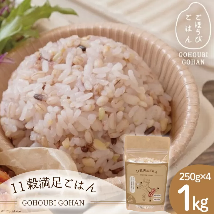 米 無洗米 11穀満足ごはん ごほうびごはん 250g×4 計 1kg [DANBO*DELI 宮崎県 日向市 452060022] 小分け 国産 ブレンド米 雑穀米 こめ コメ 雑穀