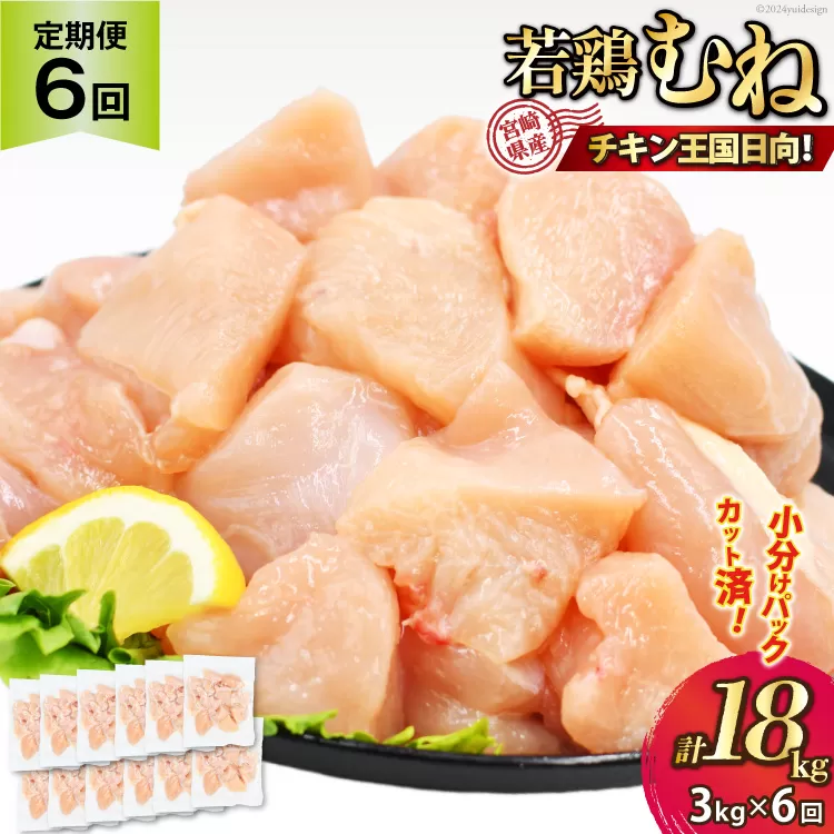 鶏肉 6回 定期便 むね 宮崎県産 若鶏 ムネ肉 250g ×12袋 計 3kg×6回 [九州児湯フーズ宮崎支店 宮崎県 日向市 452061054] 小分け 冷凍 むね肉 国産