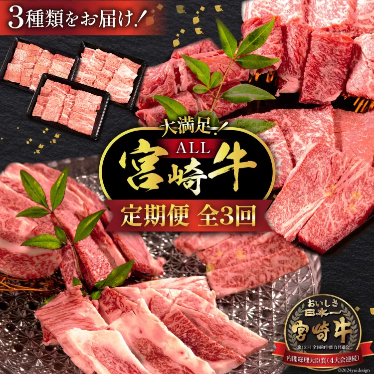 牛肉 定期便 3回 宮崎牛 バラエティAコース 計 1.3kg [ミヤチク 宮崎県 日向市 452061039] セット 冷凍 モモ 焼肉 牛肩ロース ロース バラ