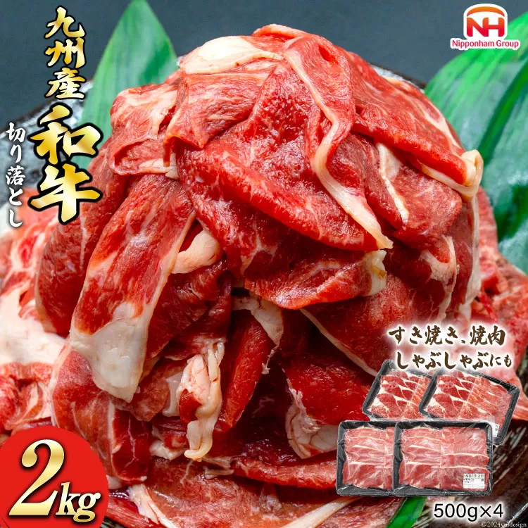 牛肉 九州産 和牛 切り落とし 2kg 500g×4p [日本ハムマーケティング 宮崎県 日向市 452060788] 冷凍 小分け 個包装 牛 すき焼き もも肉 モモ肉 牛バラ 牛肩