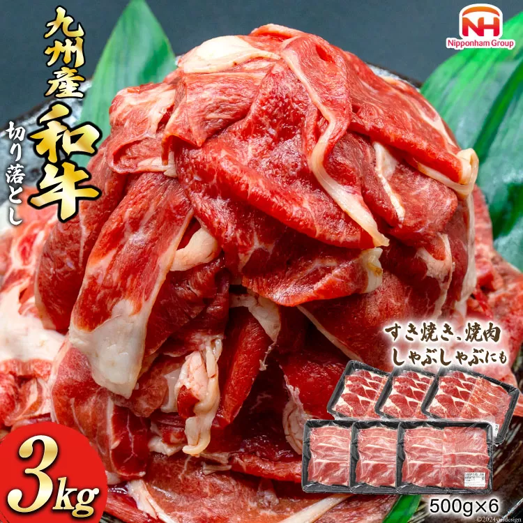 牛肉 九州産 和牛 切り落とし 3kg 500g×6p [日本ハムマーケティング 宮崎県 日向市 452060789] 冷凍 小分け 個包装 牛 すき焼き もも肉 モモ肉 牛バラ 牛肩