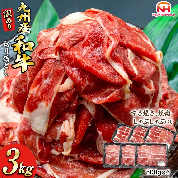 牛肉 訳あり 日本ハム 九州産 和牛 切り落とし 500g 6p 計 3kg [日本ハムマーケティング 宮崎県 日向市 452061136] 冷凍 小分け 個包装 牛 すき焼き もも肉 モモ肉 牛バラ 牛肩