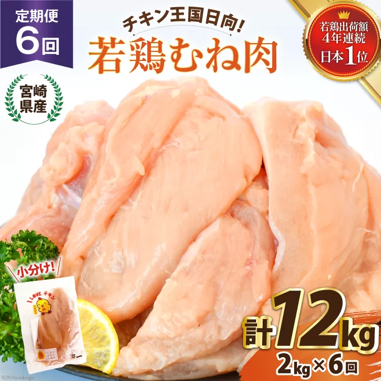 鶏肉 6回 定期便 宮崎県産 若鶏 むね肉 2kg 計 12kg [エム・ティ・シー 宮崎県 日向市 452061042] 小分け むね ムネ肉 胸 冷凍 肉 宮崎