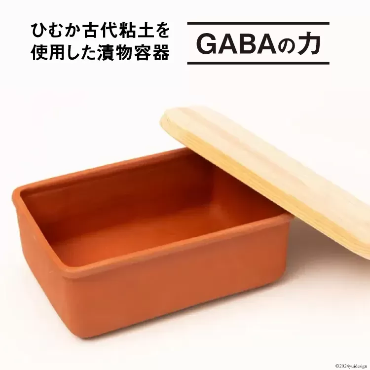 容器 漬け土器 GABAの力 約935g [黒木建設（ひむか古代粘土） 宮崎県 日向市 452060520] 石 漬物 糠漬け お手軽 古代粘土