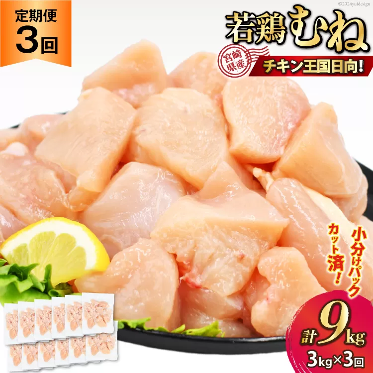 鶏肉 3回 定期便 むね 宮崎県産 若鶏 ムネ肉 250g ×12袋 計 3kg×3回 [九州児湯フーズ宮崎支店 宮崎県 日向市 452061055] 小分け 冷凍 むね肉 国産