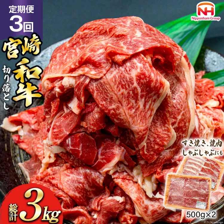 日本ハム 牛肉 3回 定期便 宮崎県 和牛 切り落とし 500g ×2p 計 1kg [日本ハムマーケティング 宮崎県 日向市 452061041] すき焼き しゃぶしゃぶ 赤身 小分け 冷凍 訳あり